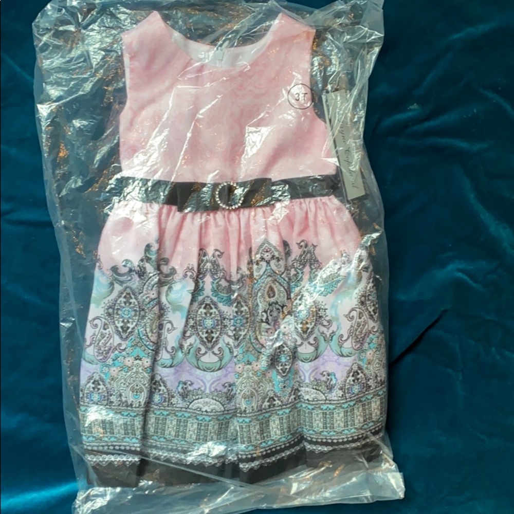 Jayne Copeland Pink Dress - New - 3T